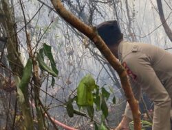 Laporan Cepat Warga Selamatkan 2 Hektare Lahan dari Amukan Api di Kampar