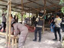 Cegah Interaksi Negatif Gajah dan Warga, BBKSDA Pasang GPS Collar Seekor Induk Gajah Betina
