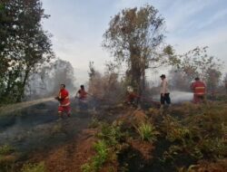 Sudah Empat Hari Terbakar, Polres Kampar dan Tim Gabungan Terus Berjuang Padamkan Karhutla di Rimbo Panjang