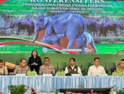 Sadis! Gajah Sumatera Ditembak dan Dipenggal, 15 Tersangka Dibekuk Polda Riau
