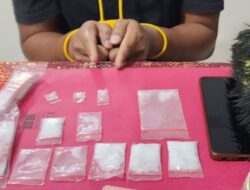 Polsek Mandau Ringkus Pengedar Sabu di Pematang Pudu, 8 Paket Narkoba Disita