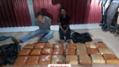Bareskrim Gagalkan Penyelundupan 23 Kg Ganja di Rohul, 2 Kurir Ditangkap