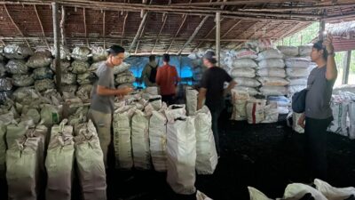 Dapur Arang Ilegal di Meranti Digerebek, Polda Riau Sita 100 Ton Arang Bakau Siap Ekspor