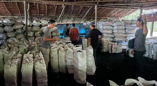Dapur Arang Ilegal di Meranti Digerebek, Polda Riau Sita 100 Ton Arang Bakau Siap Ekspor
