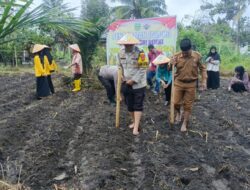 Wujud Cinta Polisi untuk Petani, Polsek Kunto Darussalam Tanam Jagung Bersama Masyarakat