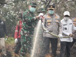 Kapolda Riau dan Pangdam Turun Padamkan Karhutla di Kerumutan