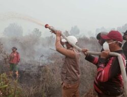 Karhutla Kerumutan Bakar 969 Hektare, Lebih dari 600 Hektare Berhasil Dipadamkan
