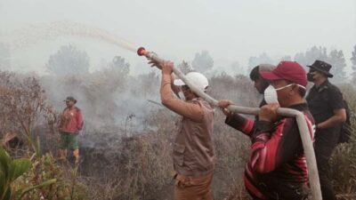 Karhutla Kerumutan Bakar 969 Hektare, Lebih dari 600 Hektare Berhasil Dipadamkan