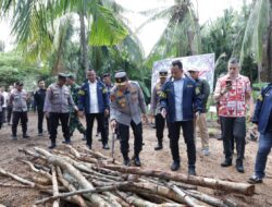 Polda Riau Ungkap Perambahan Mangrove untuk Arang, 2 Orang Jadi Tersangka